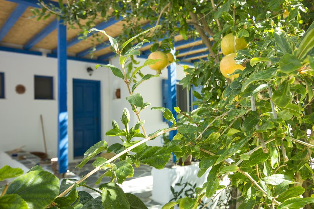 George'S Beach Studios Aliki Paros Alikí Exterior foto